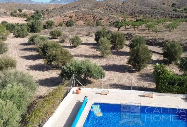 Villa Guapa: Detached Character House for Sale in Albox, Almería